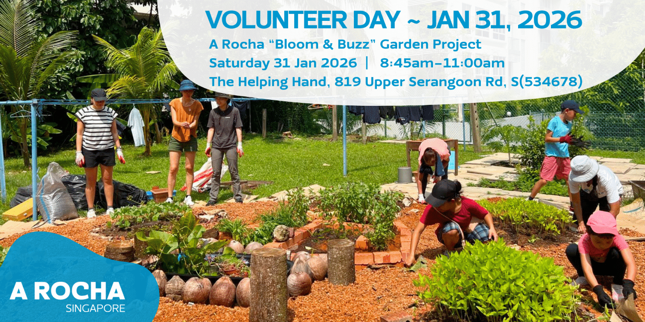 Volunteer Day 31 January 2026